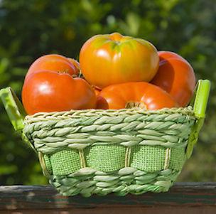 Heirloom/Non-gmo seeds - Fruits, Vegetables, Herbs, Corn seeds