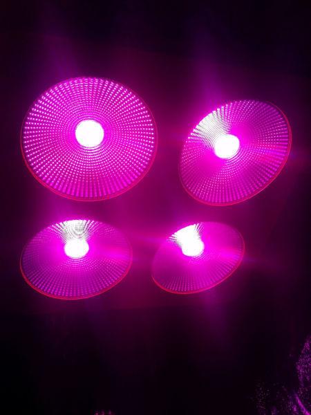 Full spectrum 800W COB LED Grow Light hydroponic