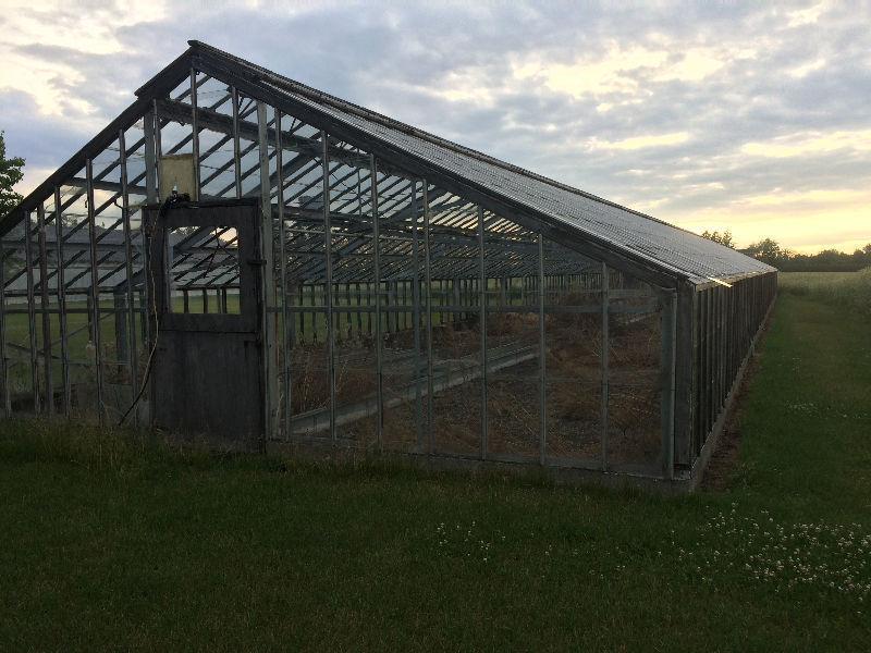 27 ft by 120 ft greenhouse