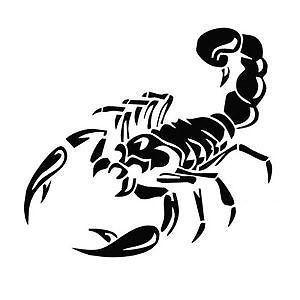 scorpion and skullcar decals