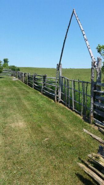 Antique Weathered Short and Long Split Cedar Rails Fence Garden