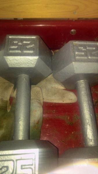 50 lbs cast iron weights