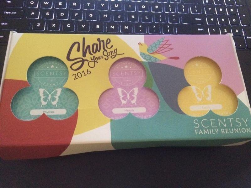 Wanted: Scentsy's Reunion bars - as pictured