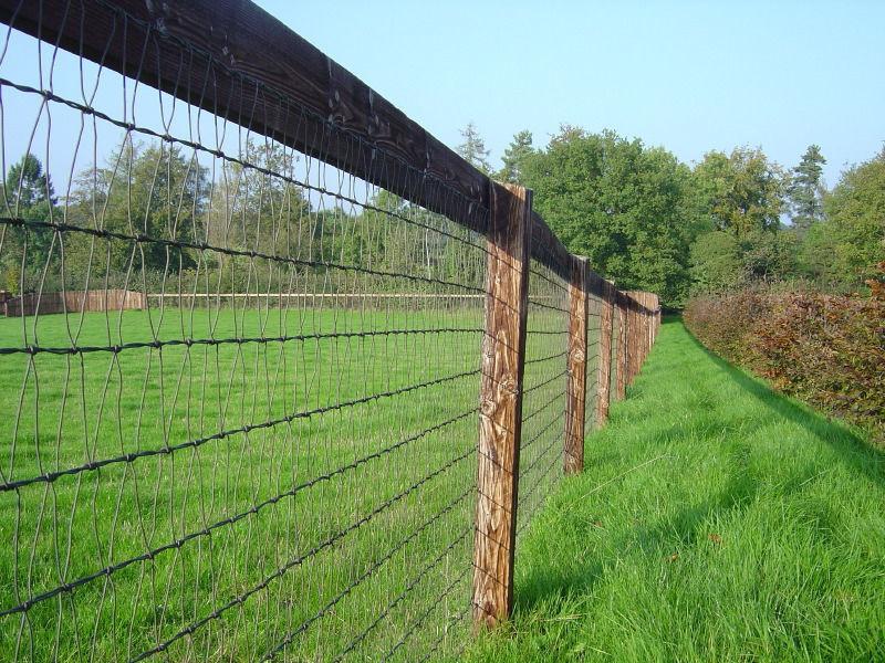 Wanted: Wanted - Wire fence, 50' in length