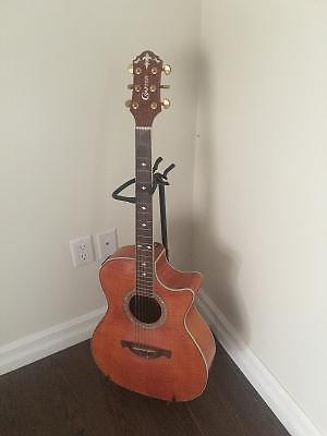 Amazing Crafter Guitar with fancy case