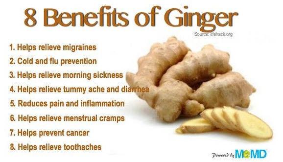Health Benifits of Ginger Root Tea
