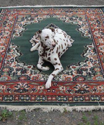 Wool rugs & MORE Estate Auction THIS SATURDAY August 20