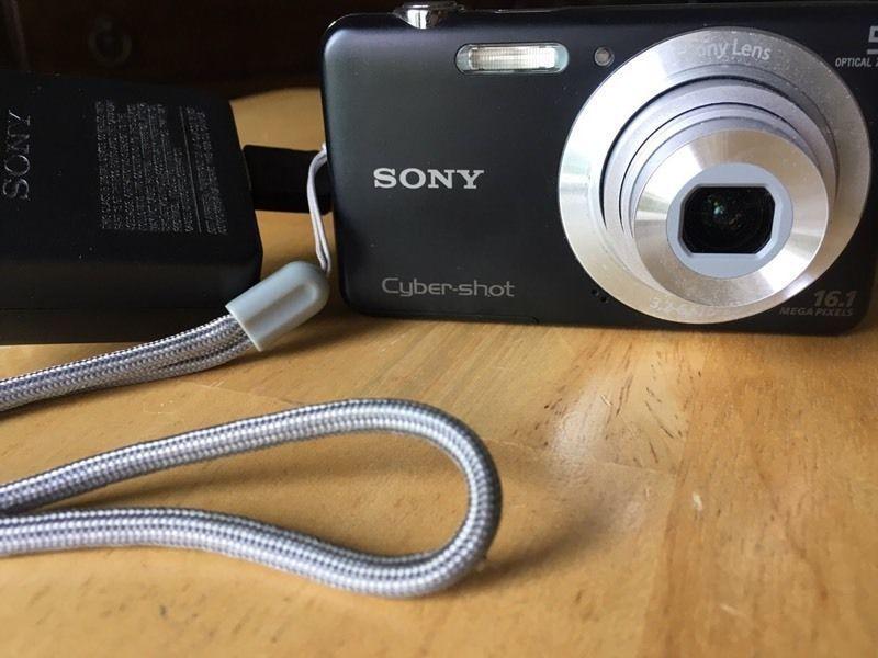 Sony Cybershot dsc-W710 16.1 MP Camera