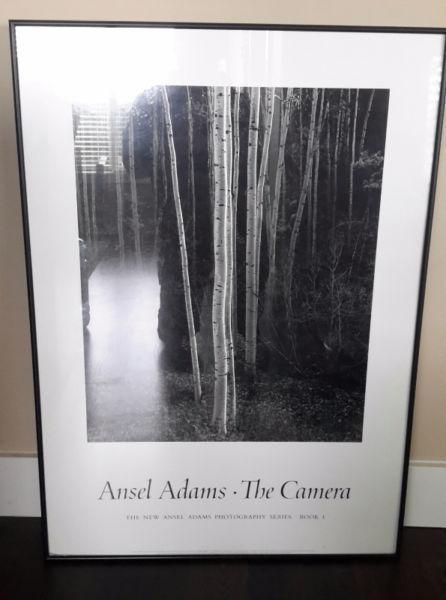 Ansel Adams print Reduced!