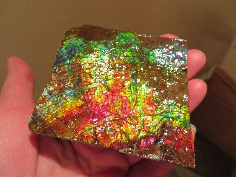 Ammonite / Ammolite Piece #5