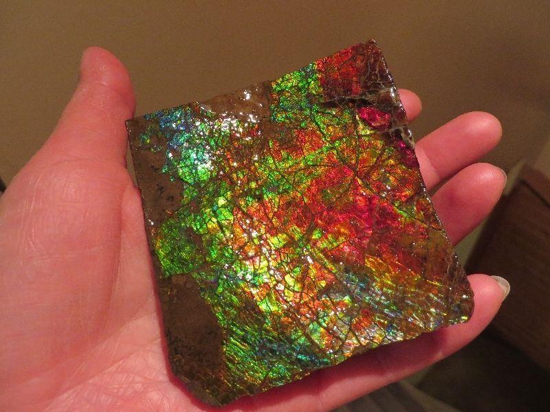 Ammonite / Ammolite Piece #5