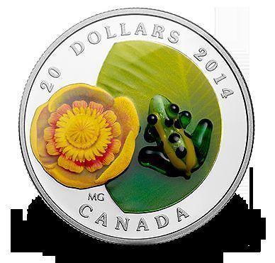 Fine Silver Coin Water-lily and Venetian Glass Leopard Frog 2014