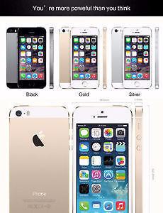 iphone 5S ( Gold, Black and White)
