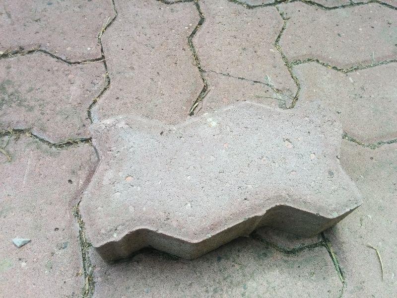Paving Stone for Sale