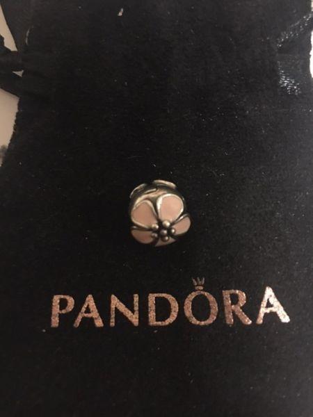Pandora Clips and Safety Chain