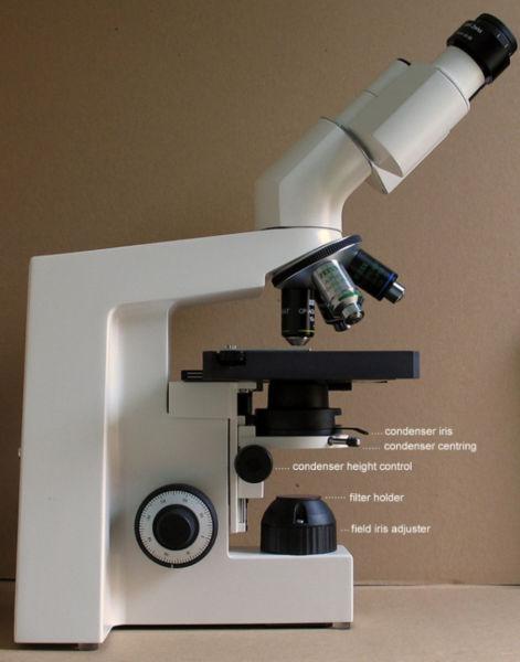 Microscope lab quality Zeiss; microscope accessories available