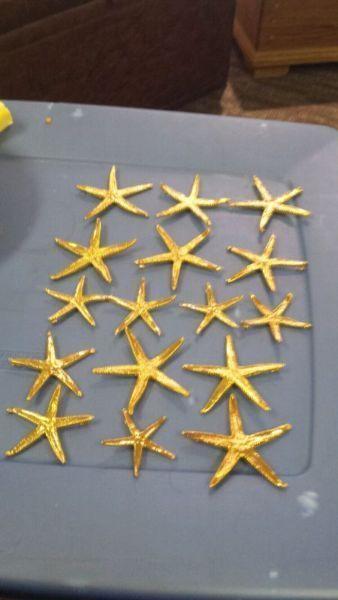 Starfish pendants $10 obo