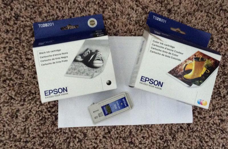 Epson C60 Ink Cartridges