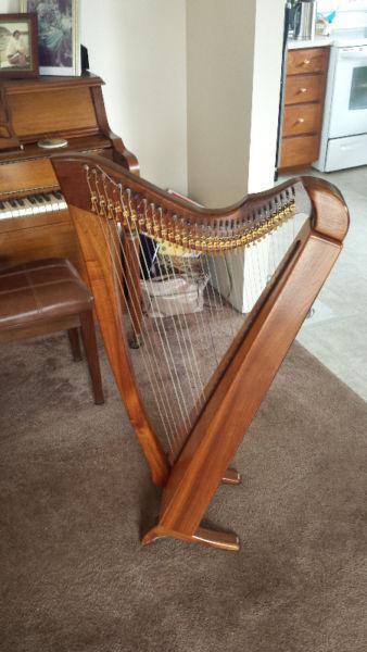 Celtic/lever harp