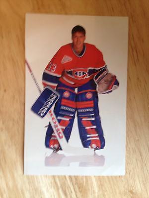 Nice Patrick Roy picture