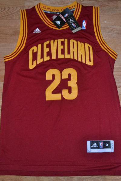 NEW w tags LeBRON JAMES All Embroidered Jersey