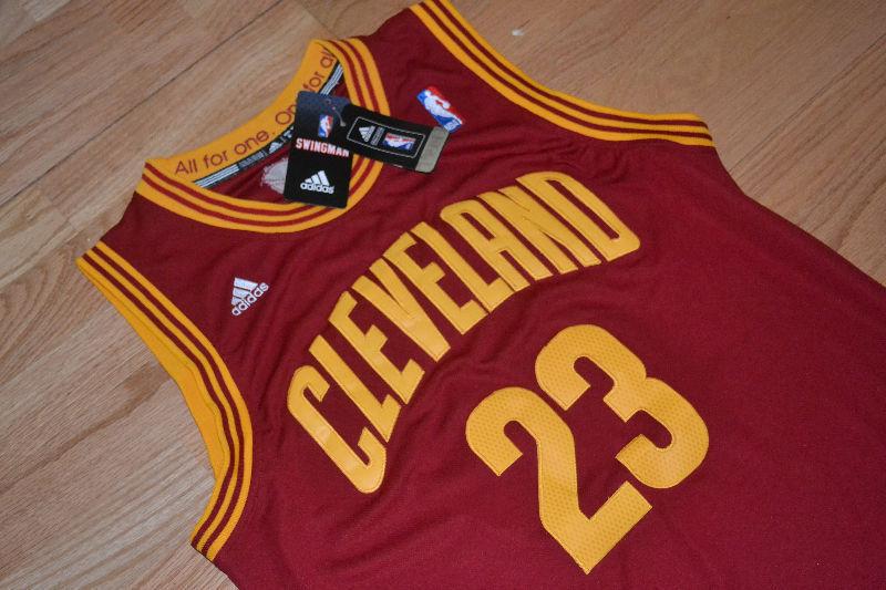 NEW w tags LeBRON JAMES All Embroidered Jersey