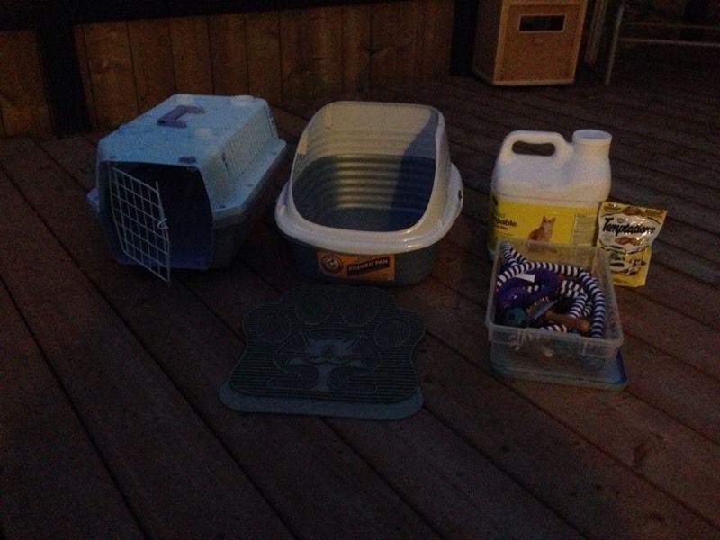 Cat litter box, kennel and miscellaneous other cat stuff