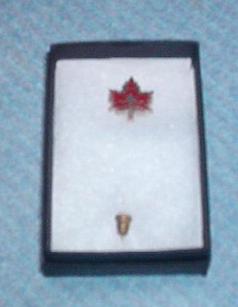 RCAF raiders hockey pin