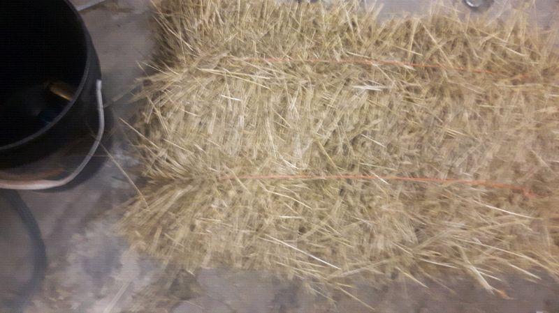 Septic Field bales for sale