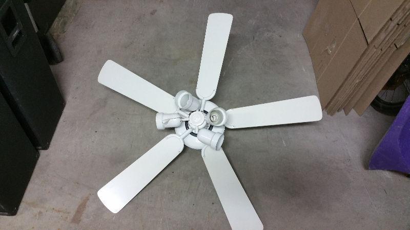 Ceiling Fan with lights for Sale