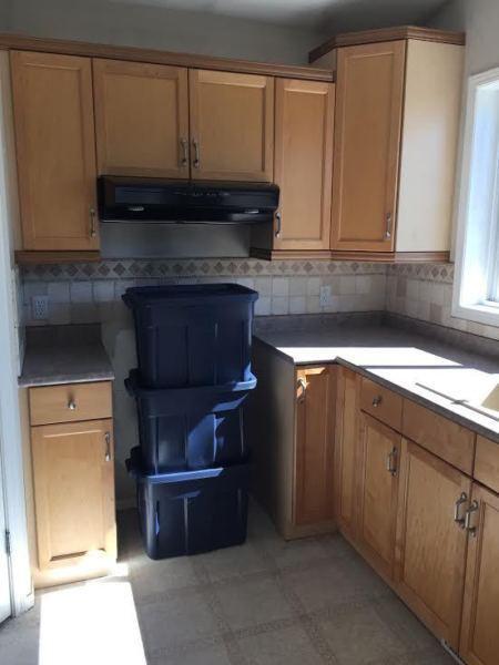 Solid Maple Kitchen Cabinets - Great Condition