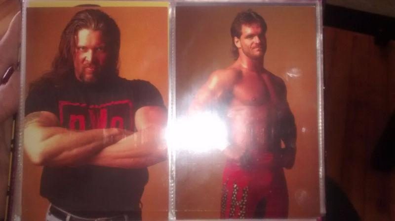 Wcw/nwo superstars 1998 collectible cards