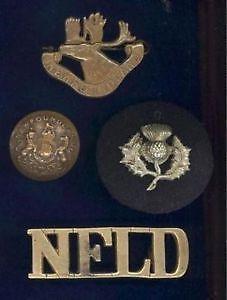 Wanted: WW1 Royal  Regiment badges and others