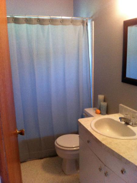 Awesome teal coloured shower curtain