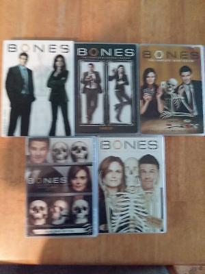Bones seasons 1 to 5