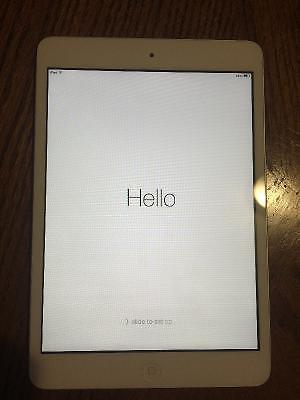 iPad Mini 16GB