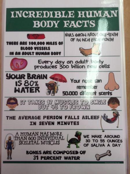 Fun facts! 6 for $20