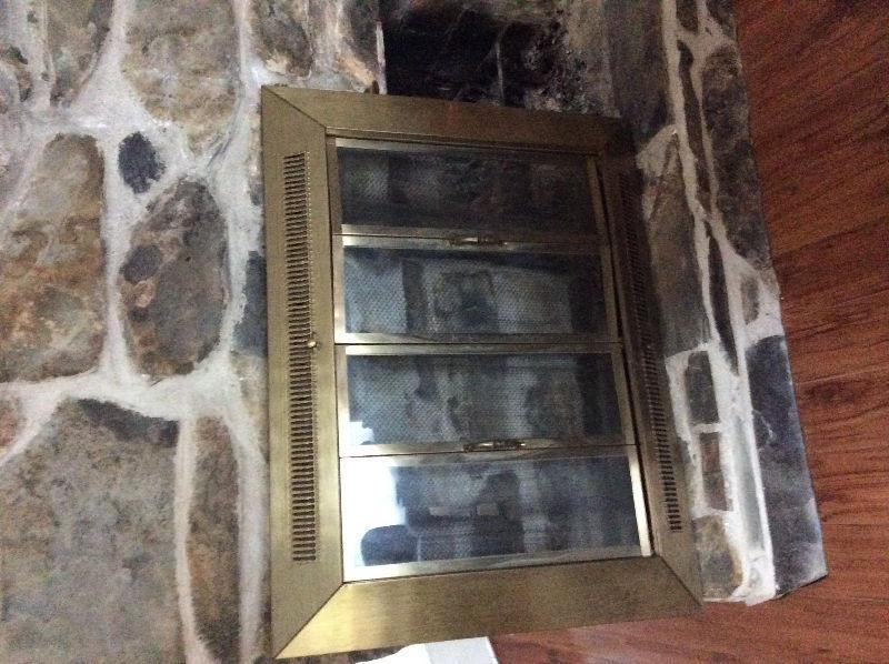 Fireplace Glass Doors with Screen
