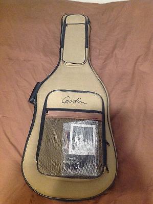 2008 godin nylon acs sa