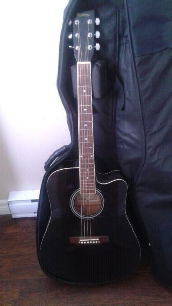 Electric acoustic and case