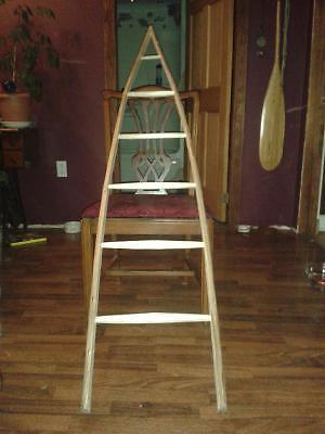 6 foot Apple ladders