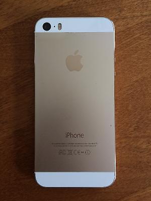 iPhone 5s 16Gb (gold) with case