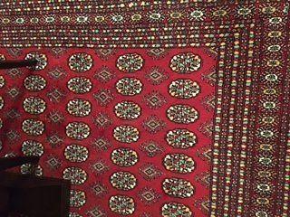 Beautiful Area Rug 12' x 11' (Bukhara pattern)