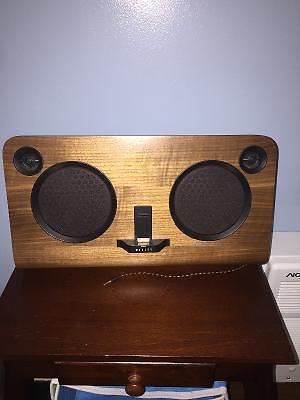Bob Marley Speaker