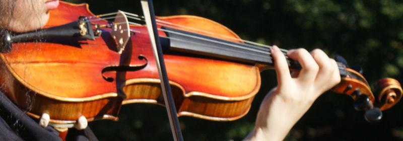 Antonius Stradivarius Cremonenfis 1729 voilin
