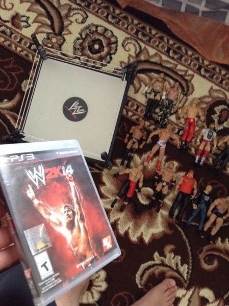 Wwe game and ring with wwe action figure