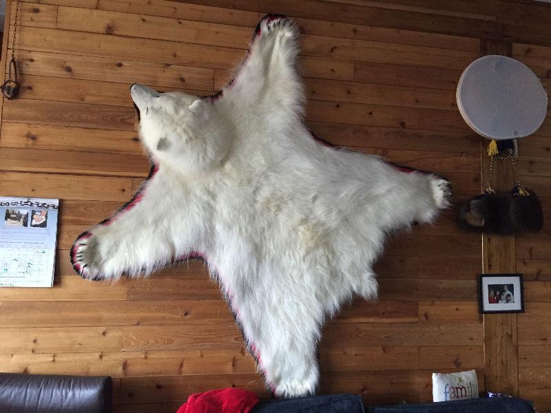 TRADE MY POLAR BEAR RUG FOR YOUR RV