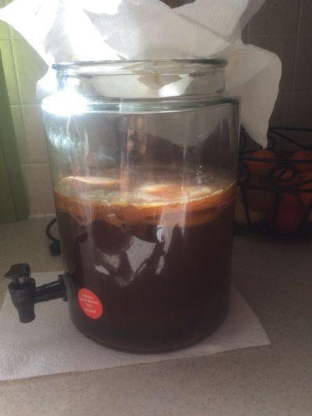 Kambucha scoby