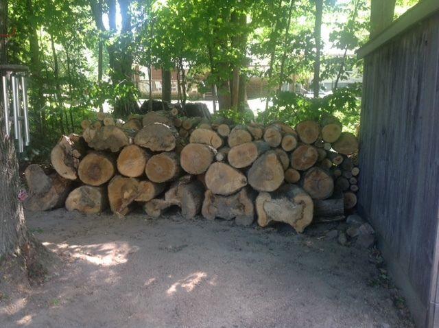Hard maple firewood