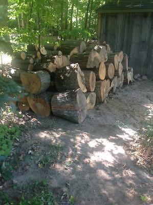 Hard maple firewood
